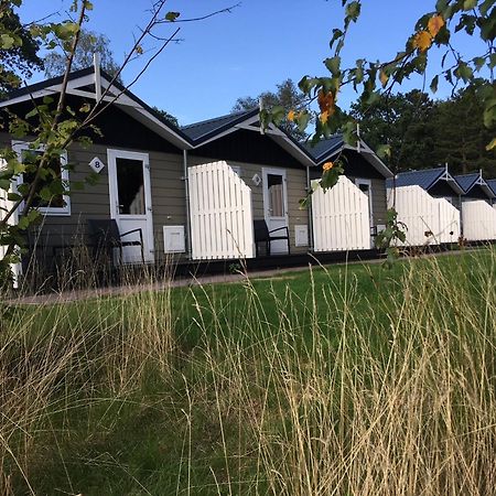 Vakantiepark Witterzomer Ассен Экстерьер фото